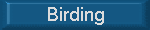 Birding