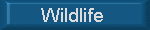 Wildlife